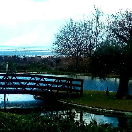 La Casa Tra Gli Ulivi