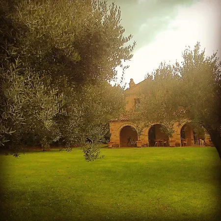 La Casa Tra Gli Ulivi Civitanova Marche